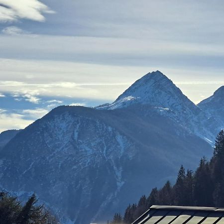 L' Antica Casa Di Maria Lilia Διαμέρισμα Pieve di Cadore Εξωτερικό φωτογραφία