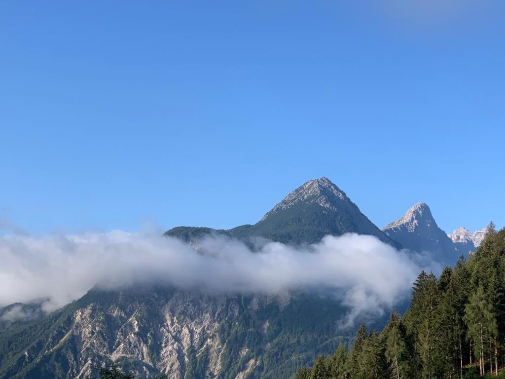 L' Antica Casa Di Maria Lilia Διαμέρισμα Pieve di Cadore Εξωτερικό φωτογραφία